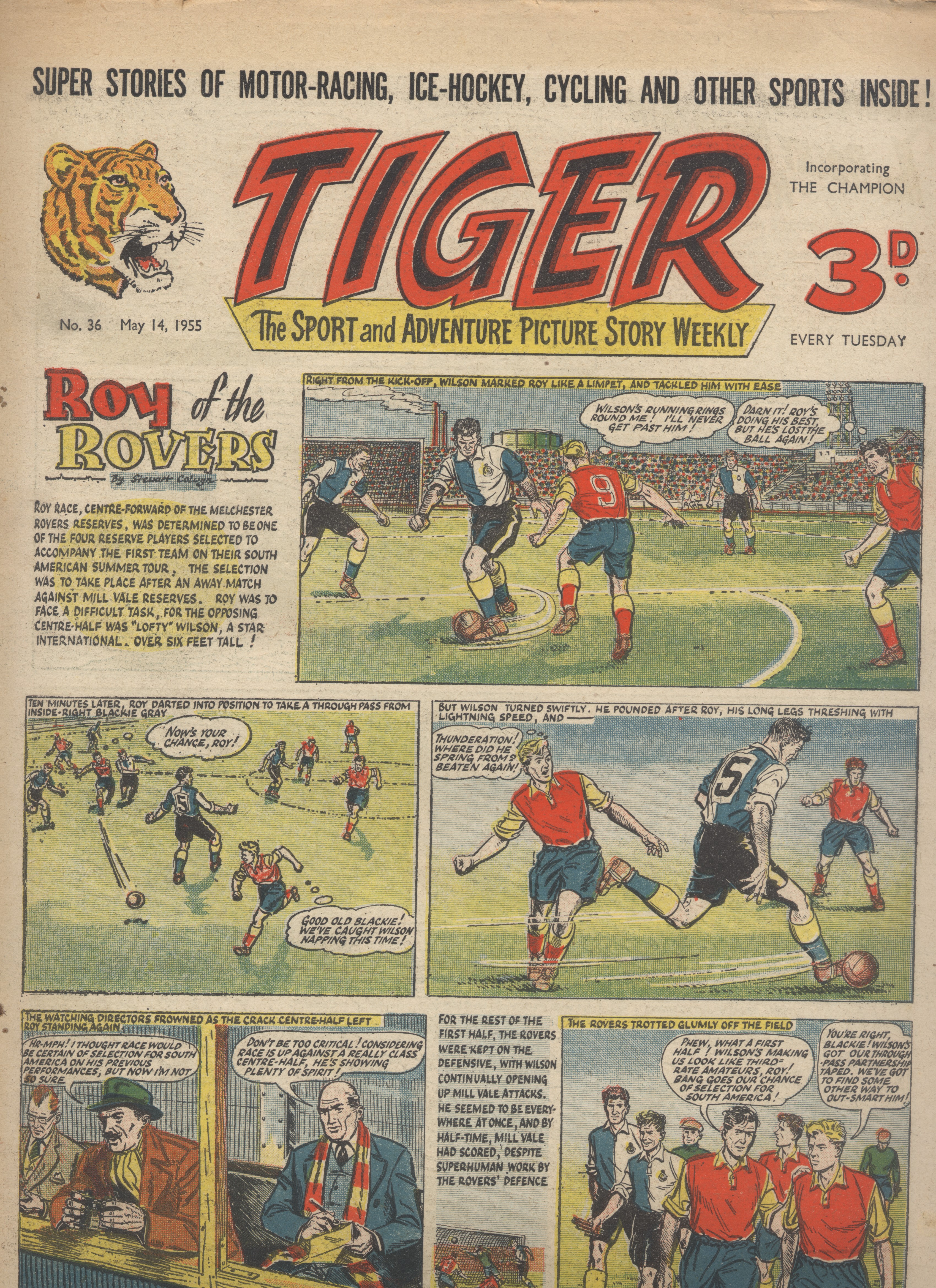 Tiger